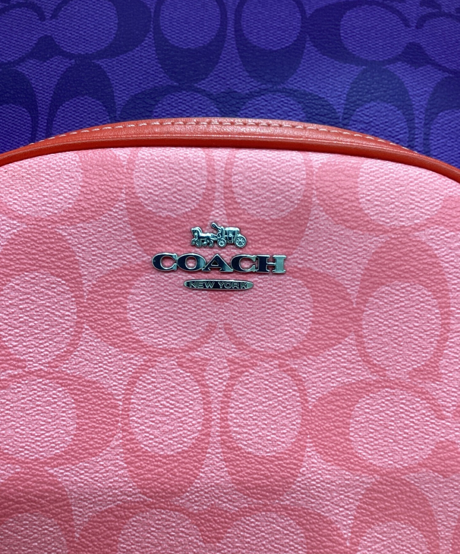 COACH (コーチ) リュック マルチカラー