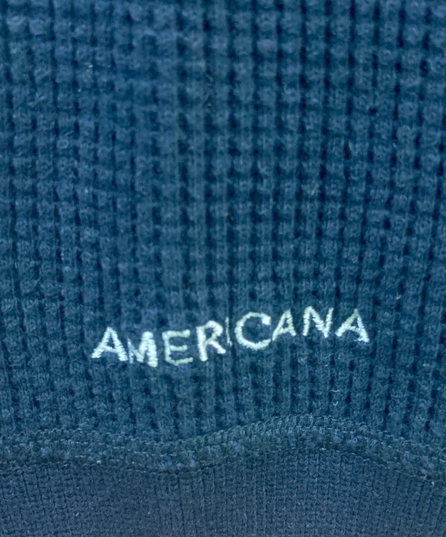 中古・古着通販】Americana (アメリカーナ) バックジップサーマル