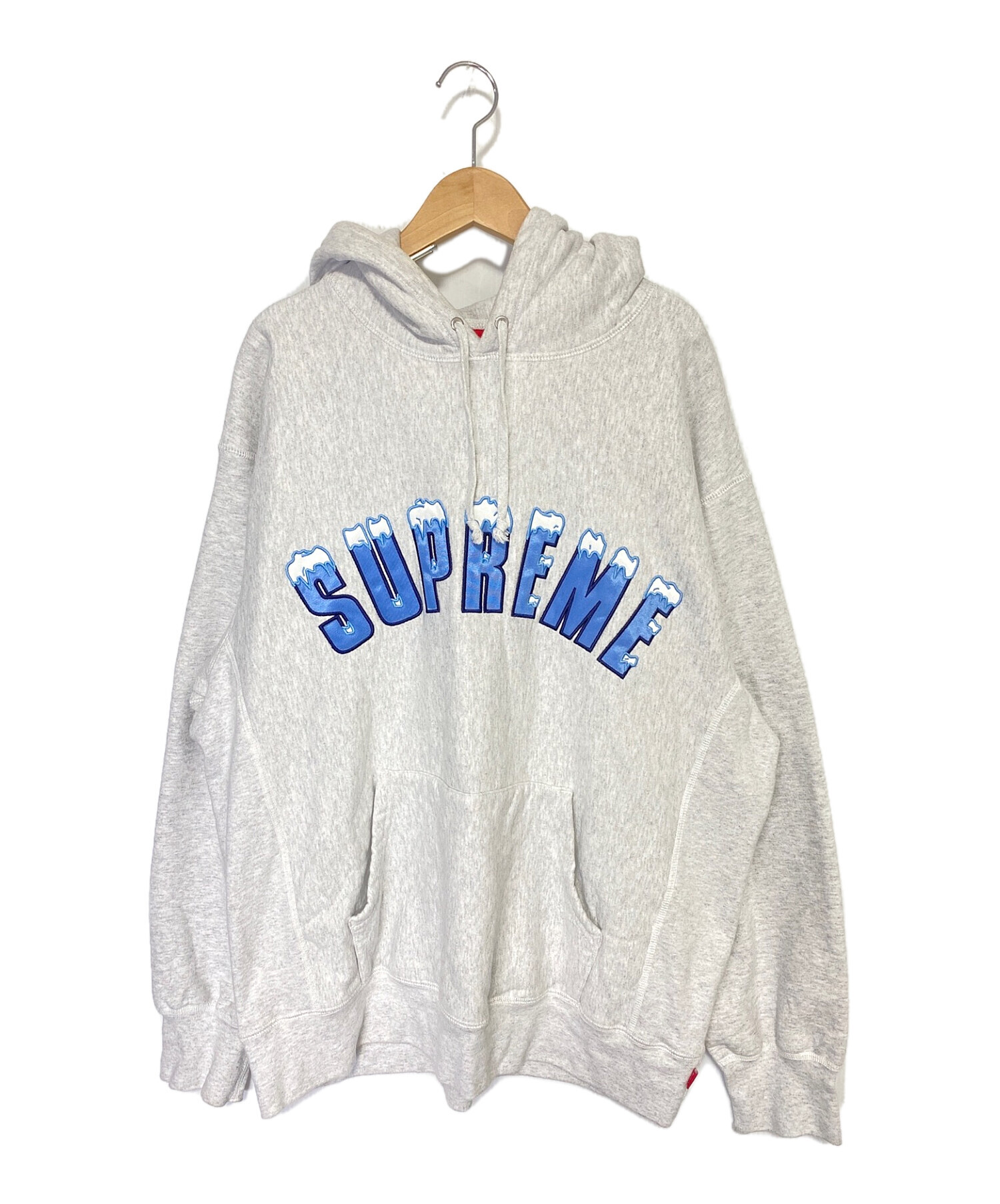 Supreme Icy Arc Hooded Sweatshirt パーカーSup